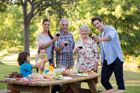 Extended family having an outdoor lunch on a sunny day