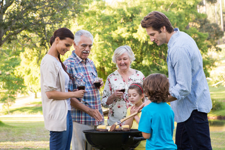 Extended family having a barbecue on a sunny dayの写真素材