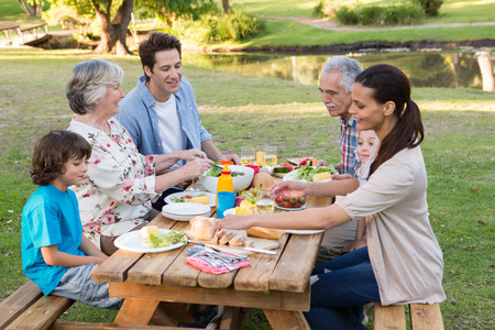 Extended family having an outdoor lunch on a sunny dayの写真素材