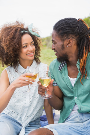 Young couple on a picnic drinking wine on a sunny dayの写真素材