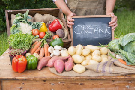 Farmer selling organic veg at market on a sunny dayの写真素材
