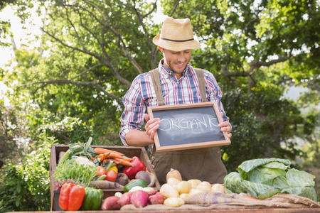 Farmer selling organic veg at market on a sunny dayの写真素材