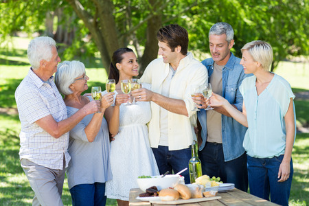 Happy couple toasting in the park on a sunny day