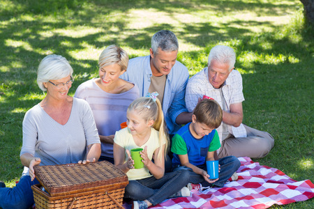 Happy family having picnic in the park on a sunny day