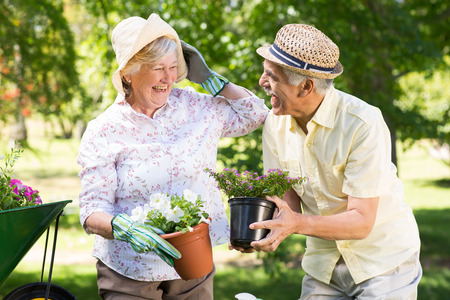 Happy senior couple gardening on a sunny dayの写真素材