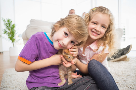 Portrait of cute brother and sister with kitten at homeの写真素材