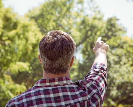 Casual man pointing in the park on a sunny dayの写真素材