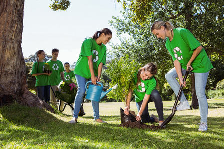 Environmental activists planting a tree in the park on a sunny dayの写真素材