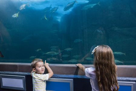 Little siblings looking at fish tank at the aquariumの写真素材