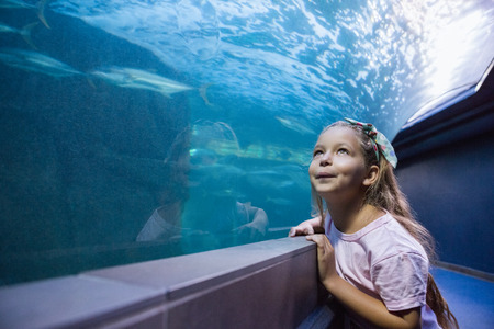 Little girl looking at fish tank at the aquariumの写真素材