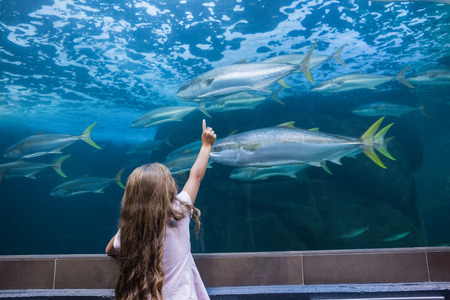 Little girl looking at fish tank at the aquariumの写真素材