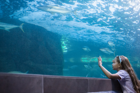 Little girl looking at fish tank at the aquariumの写真素材