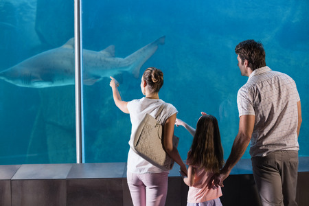 Happy family looking at shark at the aquariumの写真素材