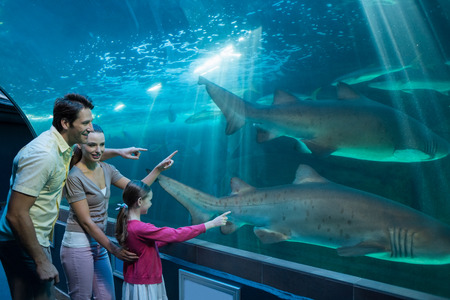 Happy family looking at tank at the aquariumの写真素材