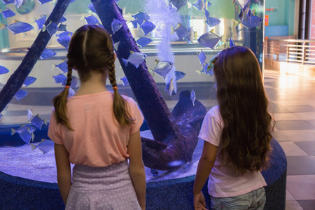 Cute children looking at fish tank at the aquariumの写真素材