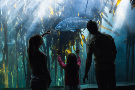 Happy family looking at fish tank at the aquariumの写真素材