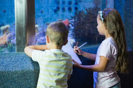 Cute siblings looking at fish tank at the aquariumの写真素材