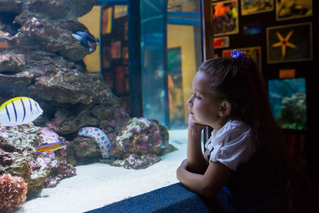 Little girl looking at fish tank at the aquariumの写真素材