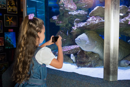Little girl looking at fish tank at the aquarium