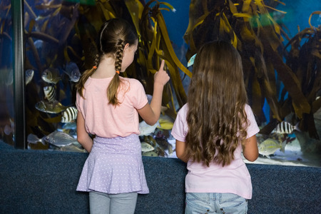 Cute children looking at fish tank at the aquariumの写真素材