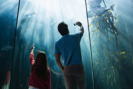 Father and daughter looking at fish tank at the aquariumの写真素材