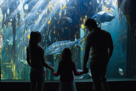 Happy family looking at fish tank at the aquariumの写真素材