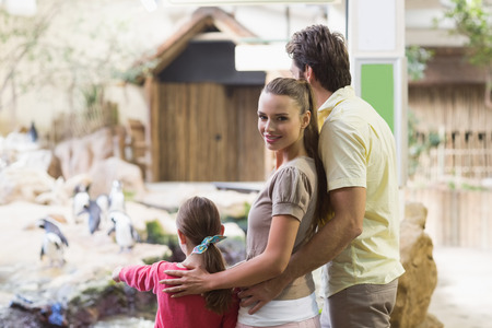 Happy family looking at penguins at the zooの写真素材