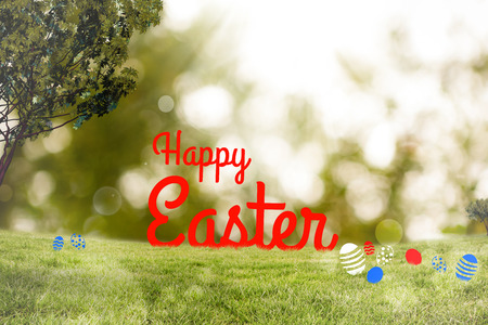 Happy Easter greeting against lights over green field