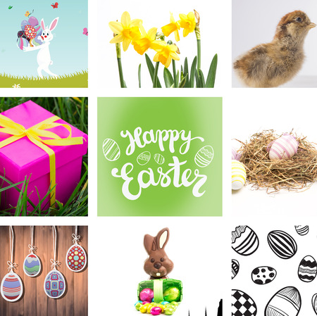 Easter bunny with eggs against easter egg patternの写真素材