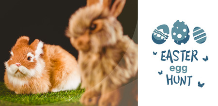 easter egg hunt graphic against ginger bunny rabbit