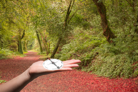 hand showing in the forestの写真素材