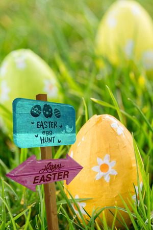 Easter egg hunt sign against easter eggs in the grassの写真素材
