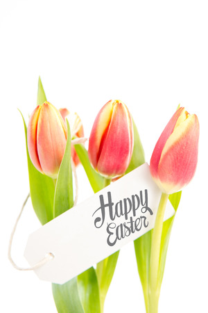 Happy easter against tulips with cardの写真素材