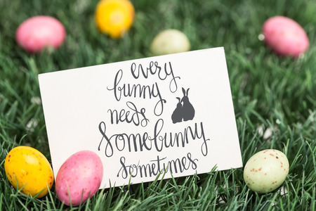 every bunny needs some bunny sometimes against blank greeting card with easter eggs