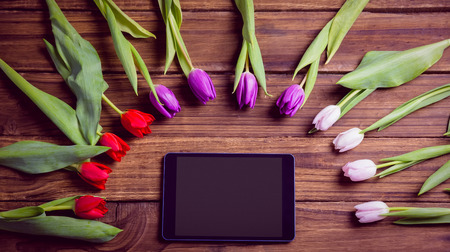 Tulips forming frame around tablet on wooden tableの写真素材