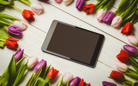 Tulips forming frame around tablet on wooden tableの写真素材