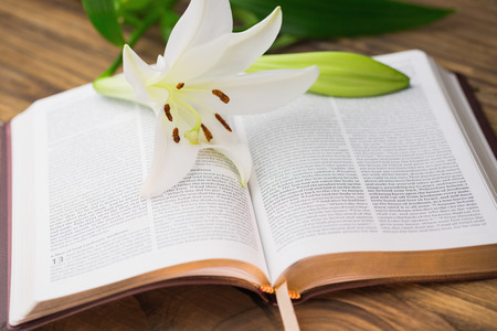 Lily flower resting on open bible on wooden tableの写真素材
