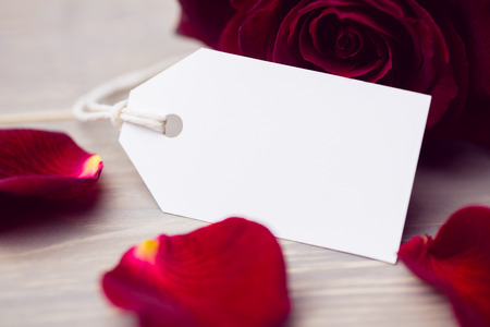 Rose petals and white card on white backgroundの写真素材