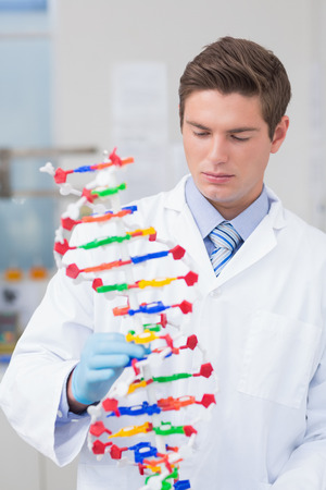 Scientist holding dna model in laboratoryの写真素材