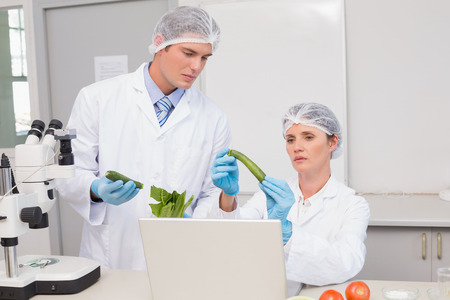 Scientists examining green pepper in laboratoryの写真素材