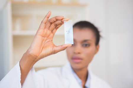 Scientist analyzing slide of sample in laboratoryの写真素材