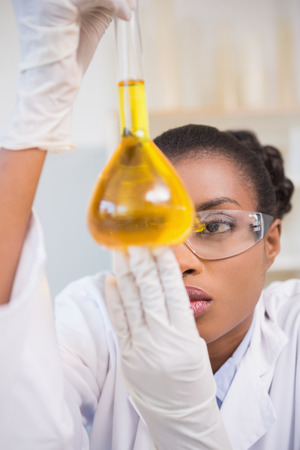 Scientist examining petri dish with orange fluid inside in laboratoryの写真素材