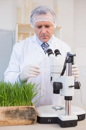 Concentrated food scientist in laboratoryの写真素材