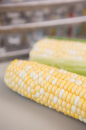 Corn on the cob in laboratoryの写真素材