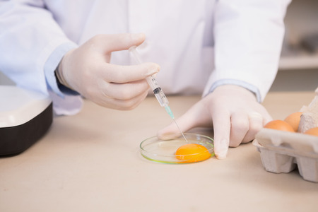 Food scientist examining egg yolk in laboratoryの写真素材