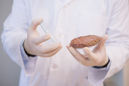 Scientist examining beefsteak in petri dish in the laboratoryの写真素材
