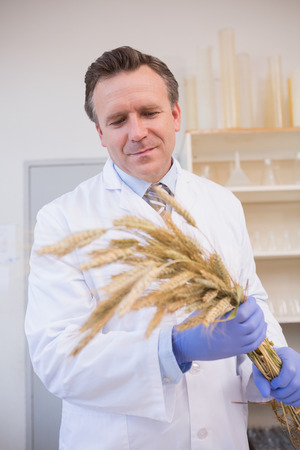 Scientist holding sheaf in the laboratoryの写真素材