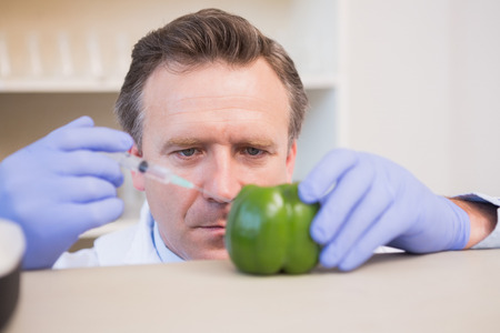Scientist injecting sweet pepper in the laboratoryの写真素材
