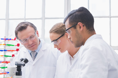Scientists working together in the laboratoryの写真素材