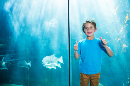 Happy young boys rising his finger in front of a tank at the aquariumの写真素材